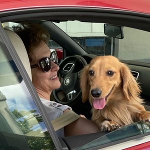 Meet your Posher, Carmen